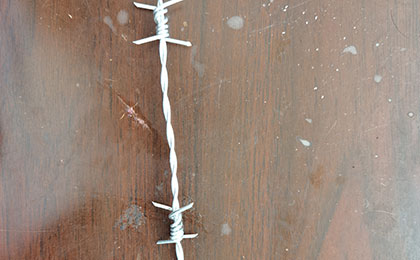 刺絲